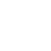 Customization Capability icon
